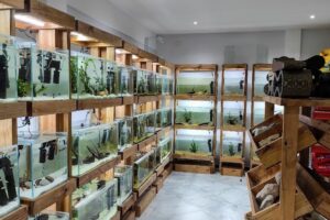 Aquarium Fish Argentina