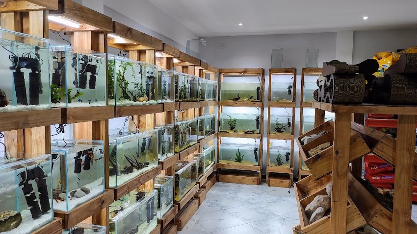 Aquarium Fish Argentina