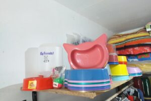 Argus forrajeria y pet shop