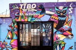 ArtLimpieza y Pets Shop Tibo