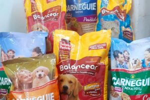 Arte Y Burbujas Tienda Y Guarderia De Mascotas