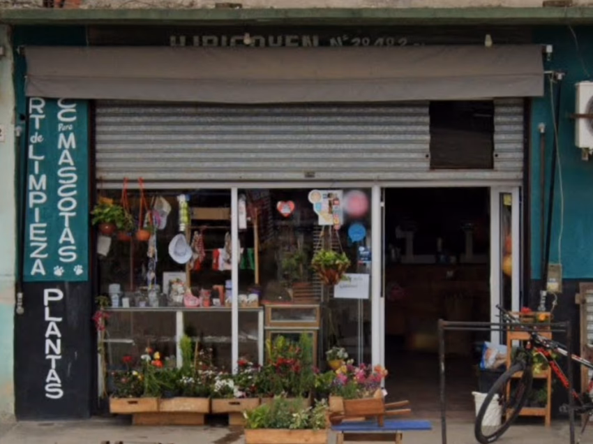 Artículos de Limpieza y para Mascotas Tori