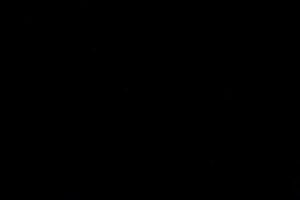 Autoservicio Linea Sur