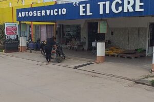 Autoservio el tigre