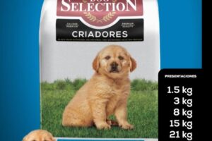 Ave fénix Distribuciones mascotas