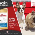 Bacán Tienda de Mascotas