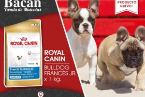 Bacán Tienda de Mascotas