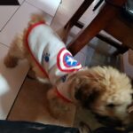 Bacán Tienda de Mascotas