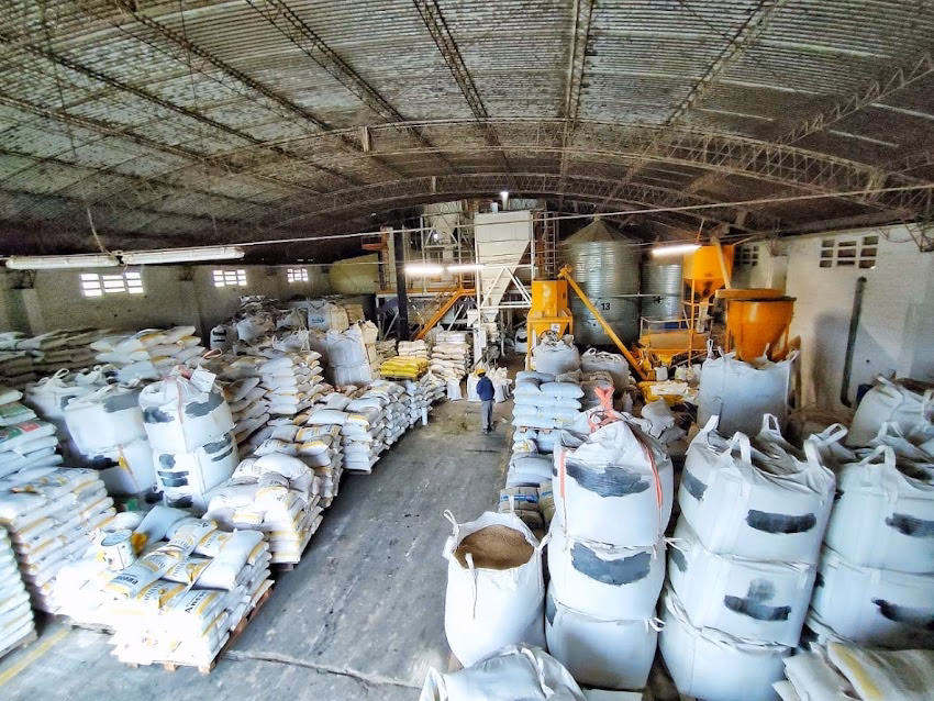 Balanceados Ancona Pierantoni Cereales