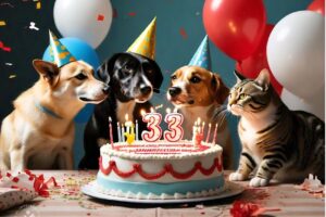 Balanceados del Litoral