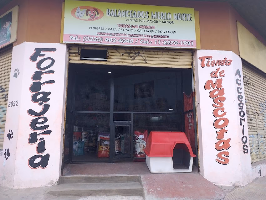 Balanceados Merlo Norte Scooby Doo