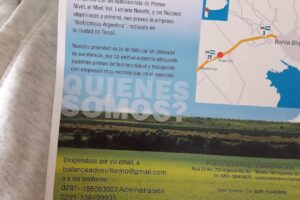 Balanceados villarino