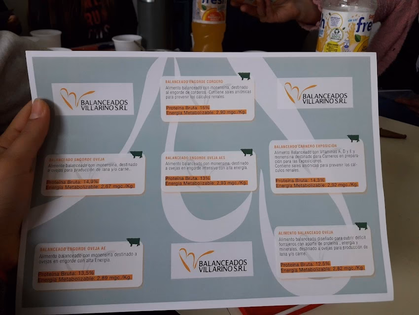 Balanceados villarino