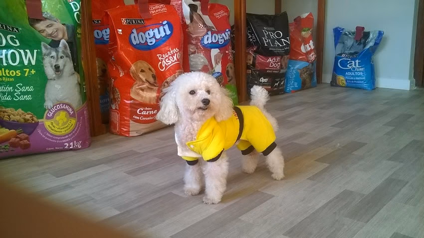 Bartolomio Tienda de Mascotas