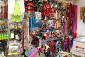 Bepet Bv Charcas Veterinaria