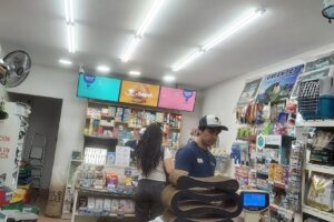 Bepet Lanus Ituzaingo