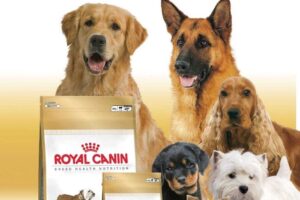 Biomascotas shop Delicioso para ellos tranquilo par ti