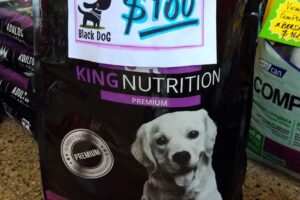 Black Dog Peluquería Canina