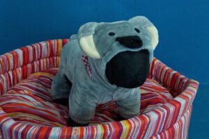 Blu pet shop y peluqueria canina