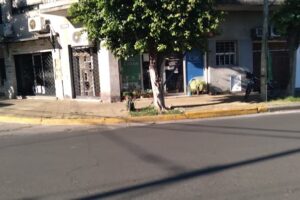 Blue puppies Petshops