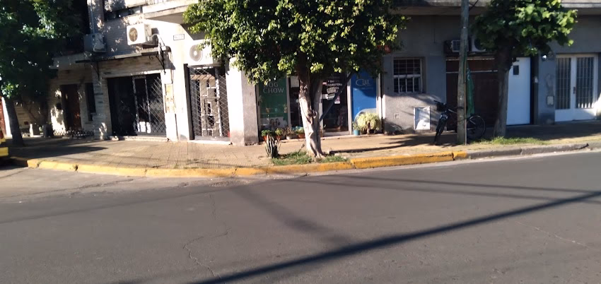 Blue puppies Petshops