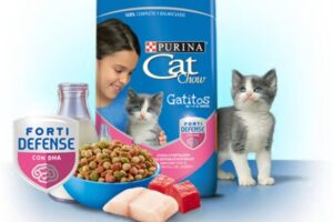 Border tienda de mascotas