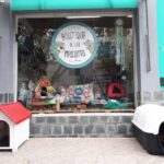 Boutique De Las Mascotas