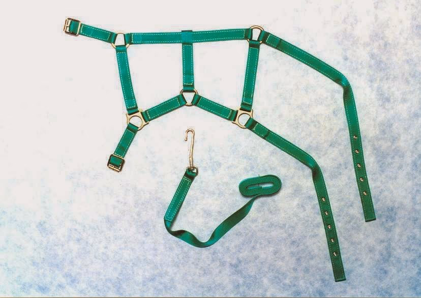 Budapets Tienda de Mascotas