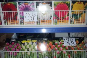 Burbujas Todo Suelto Insumos Para Piscinas Limpieza Bazar Macetas y Alimento Para Mascotas