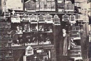 Canarios Walter Sala Puesto El 36