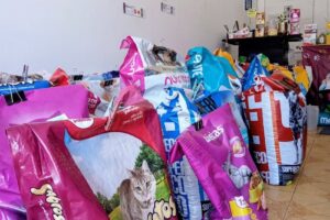 Canela Pet Shop artículos de limpieza y perfumería