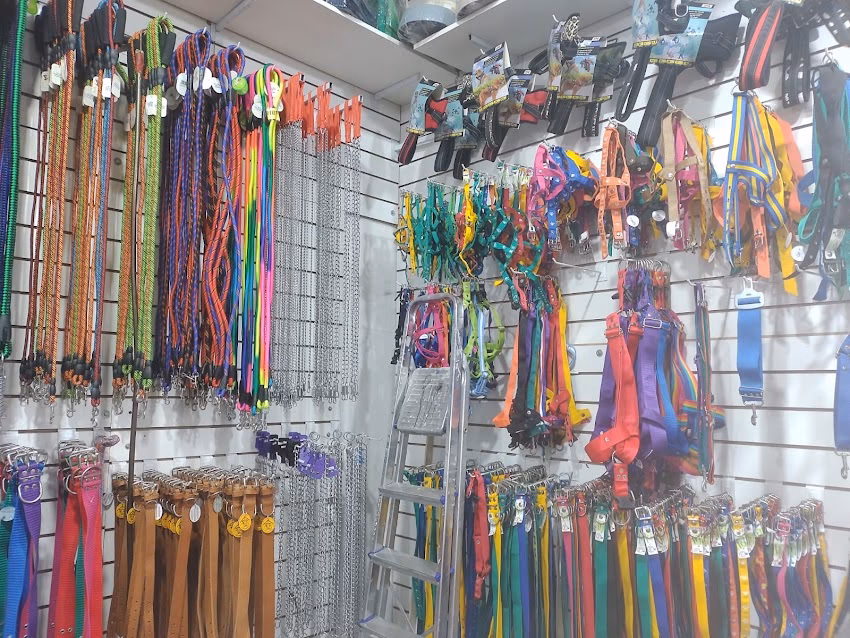 Casa Fioretti Todo Para Sus Pequeños y Grandes Animales