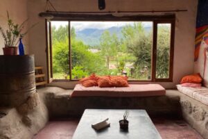 Casita Alpiste comiste