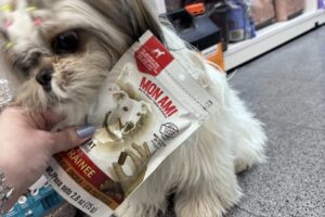 Casper Pet Store Junín