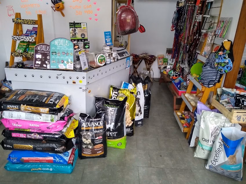 CatDog PetFooDelivery