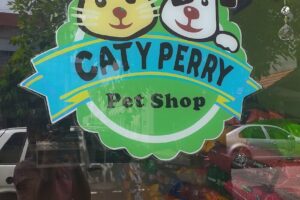 Caty Perry Pet Shop