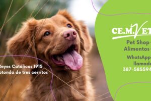 Cemvet Pet Shop y alimentos