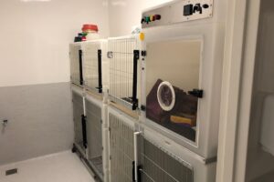 Centro Veterinario Trusoni Sarandi