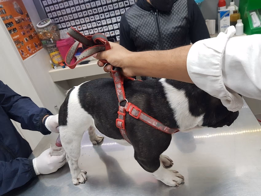 Centro Veterinario Yerba Buena