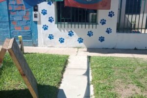 Chatruc mascotas y limpieza