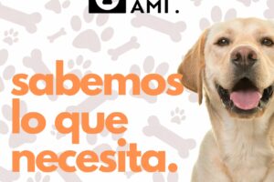 Cher Ami Veterinaria Clínica Veterinaria Pet shop Baños Caninos