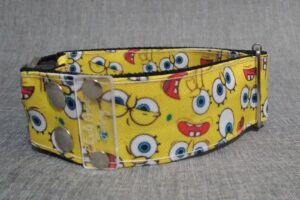 Chinche Poroto Hogar Mascotas