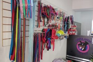 Chirulandia Pet Shop