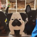 Ciudad mascota