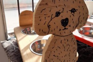 Ciudad Mascota Veterinaria Pet Shop