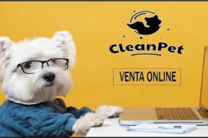 CleanPet