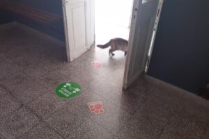 Clinica Veterinaria de los Arroyos