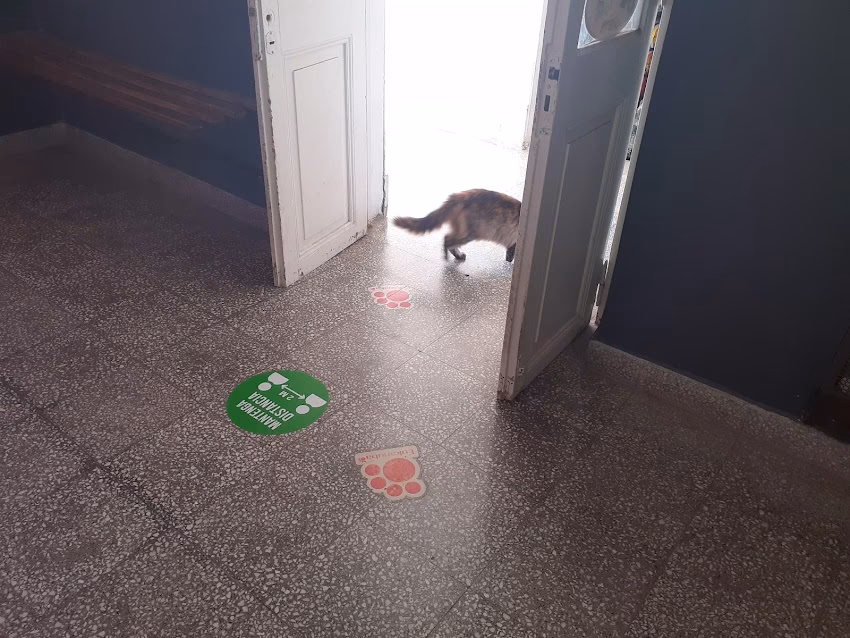 Clinica Veterinaria de los Arroyos