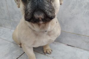 Clínica Veterinaria Del Parque