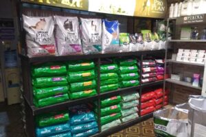 Clinica Veterinaria Di Salvo